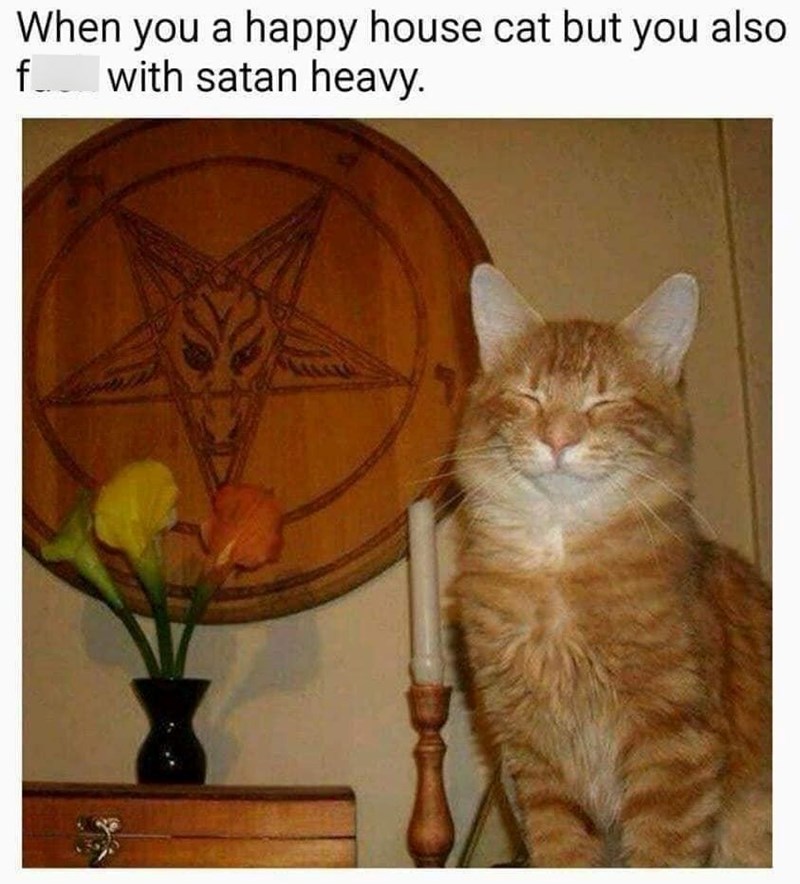 happy-house-cat-but-also-f-with-satan-heavy