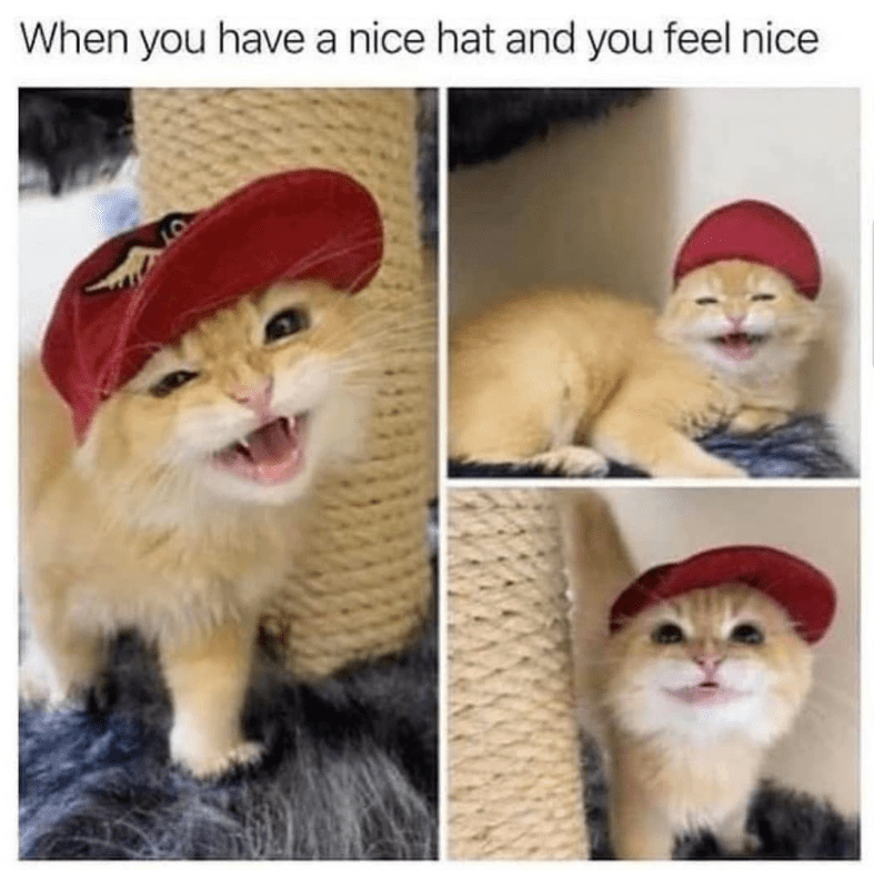 have-nice-hat-and-feel-nice-07