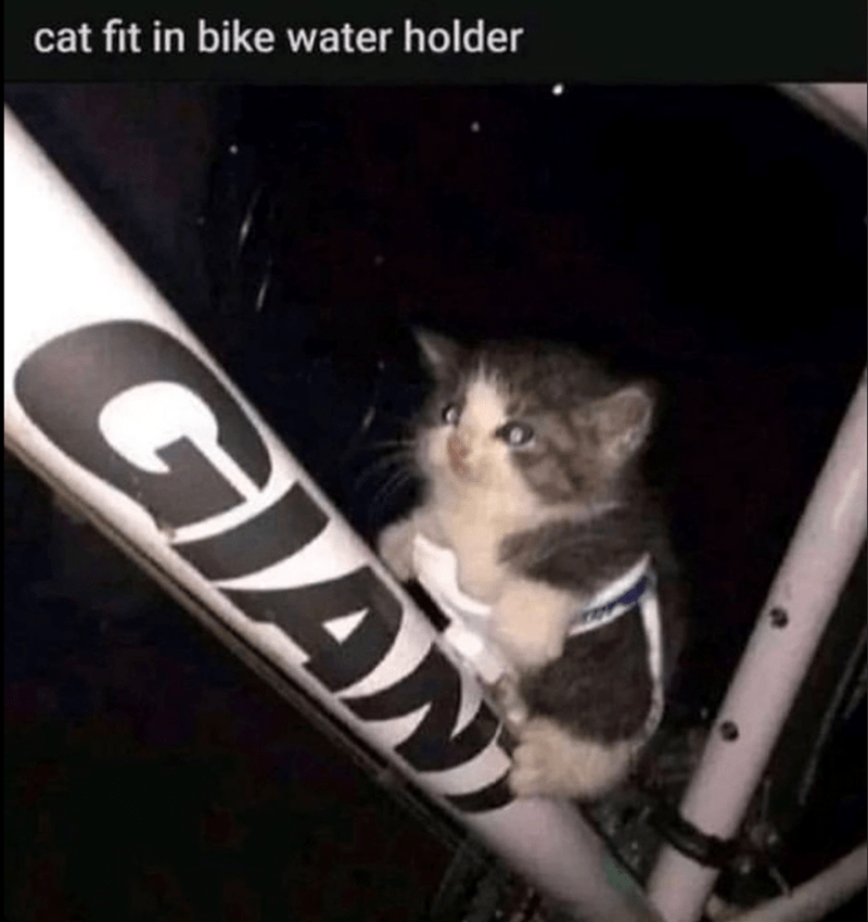cat-fit-bike-water-holder-gian