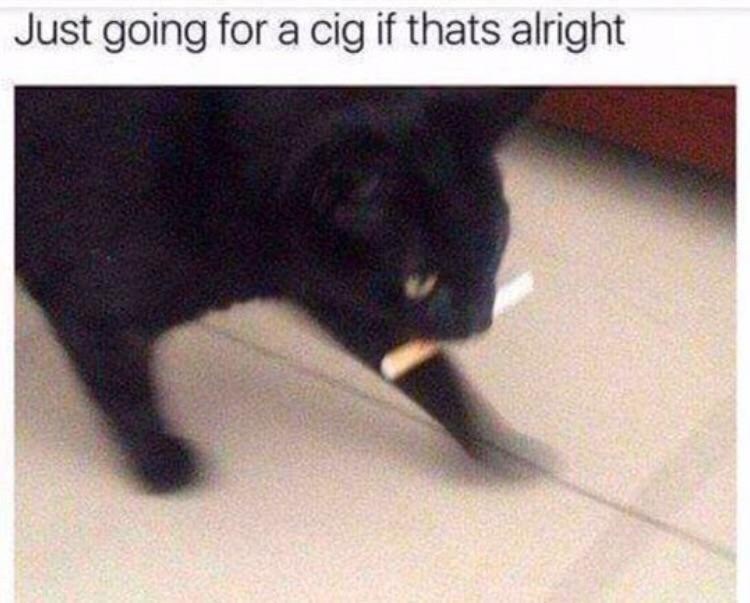 just-going-cig-if-thats-alright