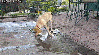 its-hot-ill-fill-up-the-pool