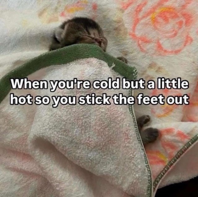 cold-but-little-hot-so-stick-feet-out
