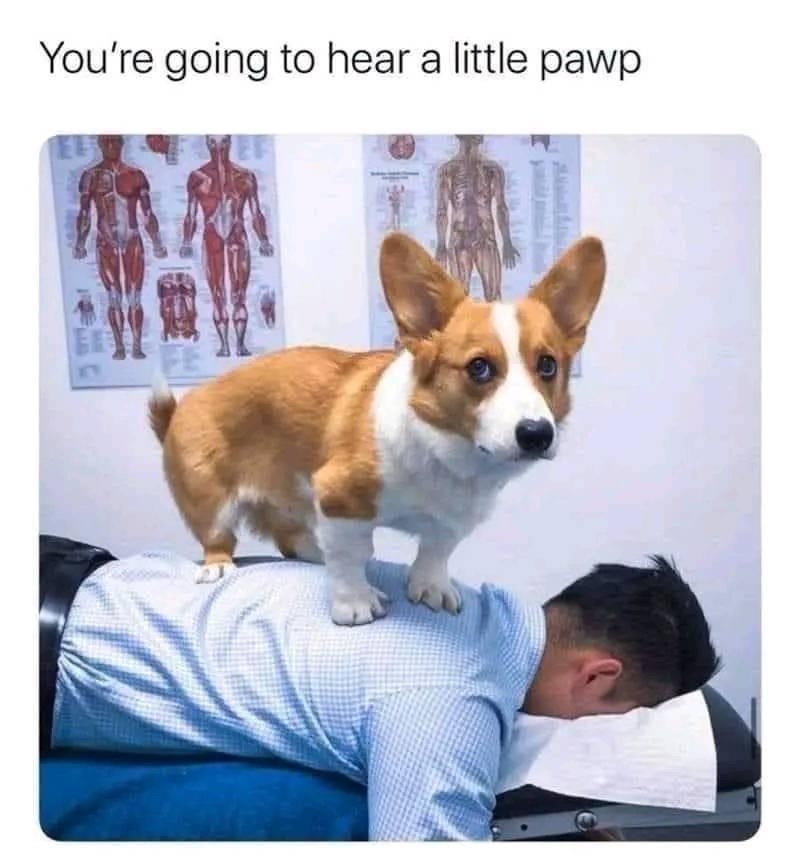 going-hear-little-pawp