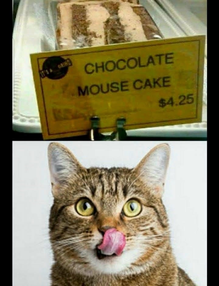 s-grind-chocolate-mouse-cake-425