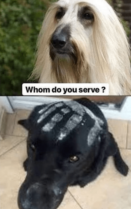 whom-do-serve