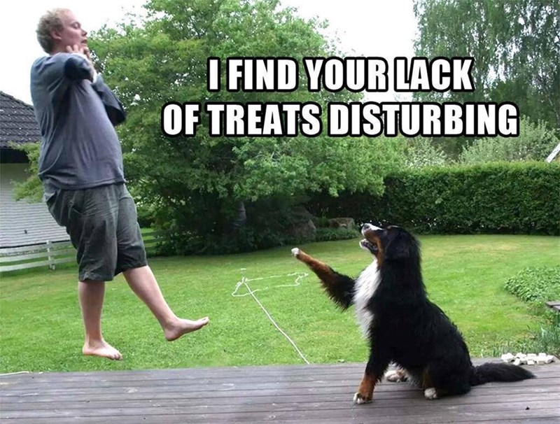 find-lack-treats-disturbing