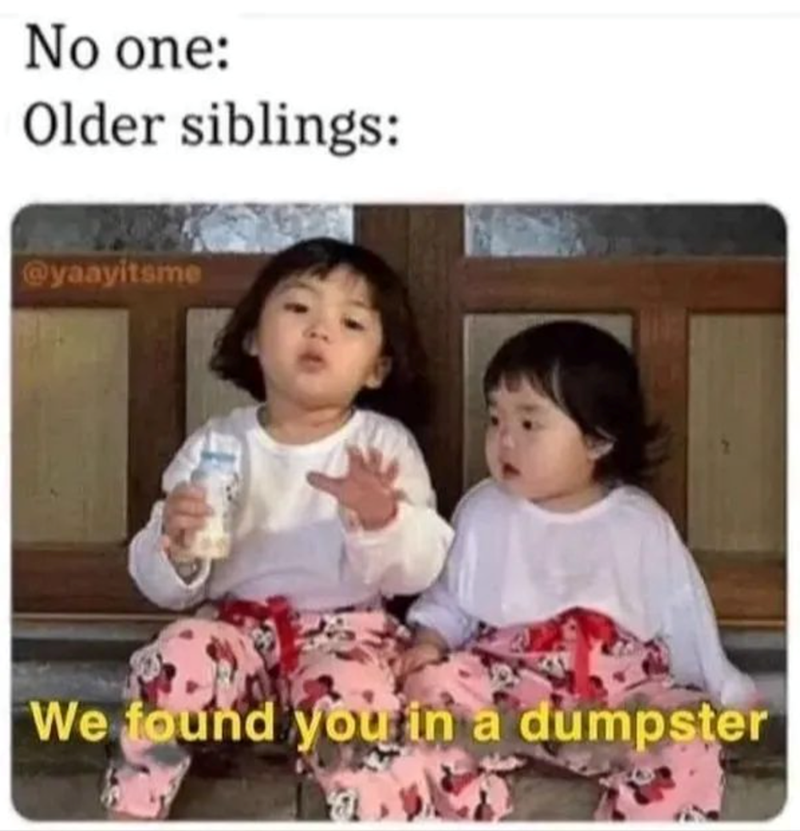 no-one-older-siblings-yaayitsme-found-dumpster