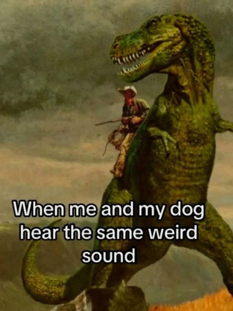 and-my-dog-hear-same-weird-sound
