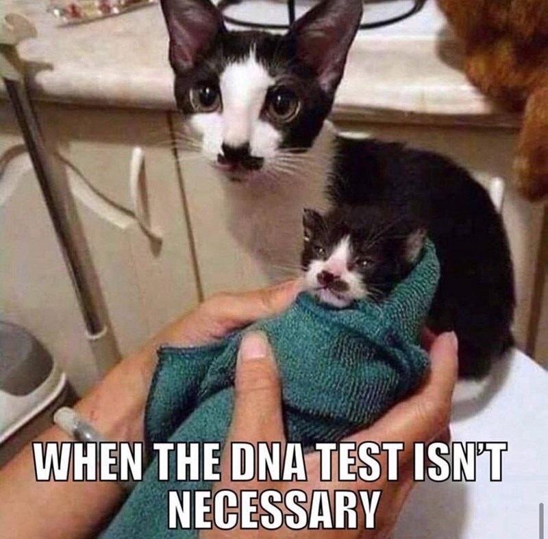 dna-test-isnt-necessary