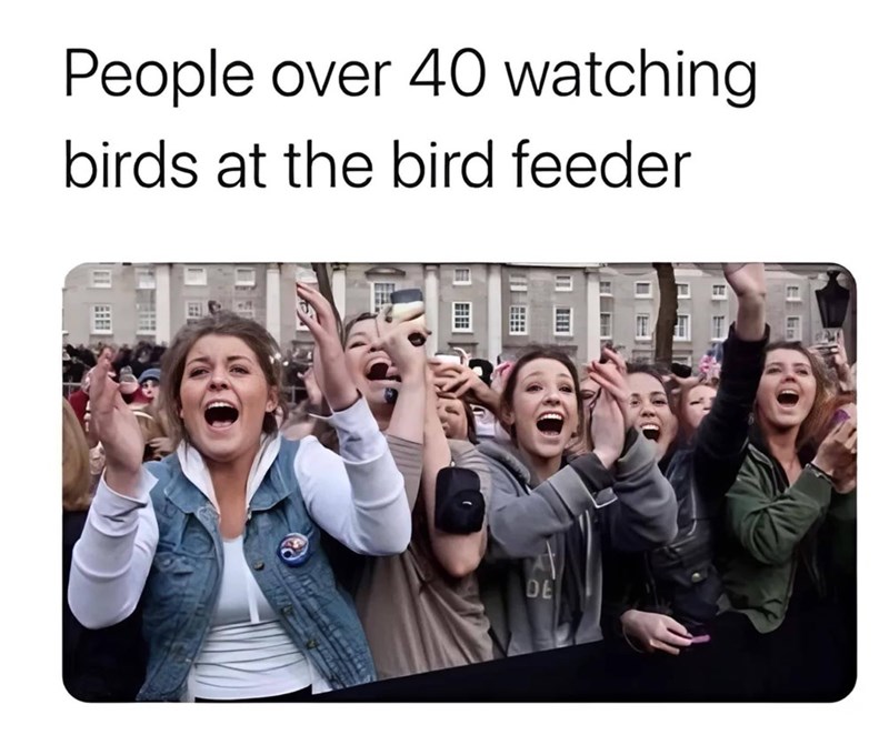 people-over-40-watching-birds-at-bird-feeder-de