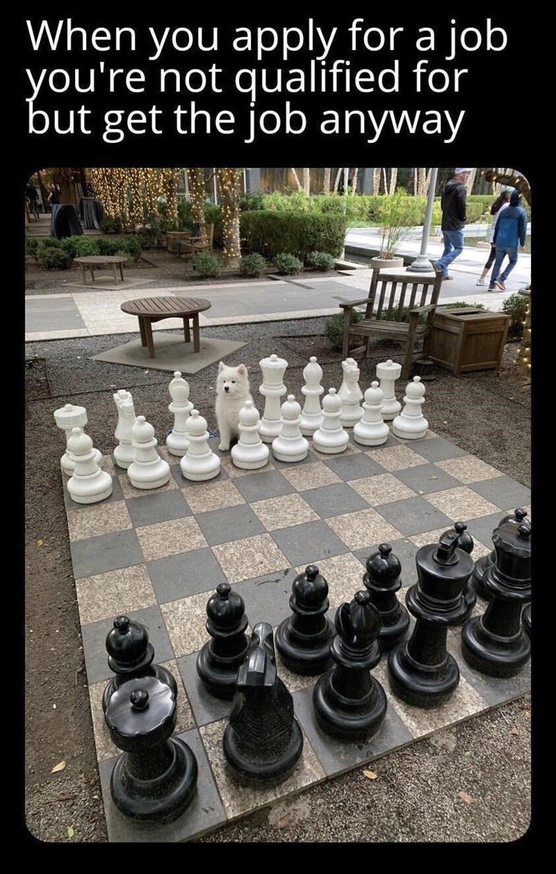 apply-job-not-qualified-but-get-job-anyway