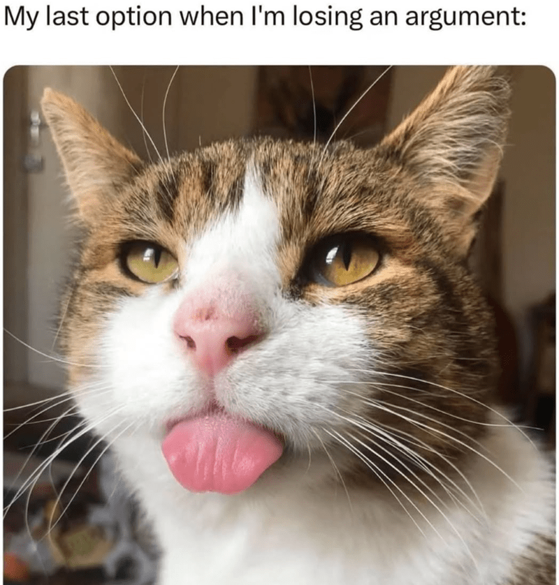 my-last-option-losing-an-argument