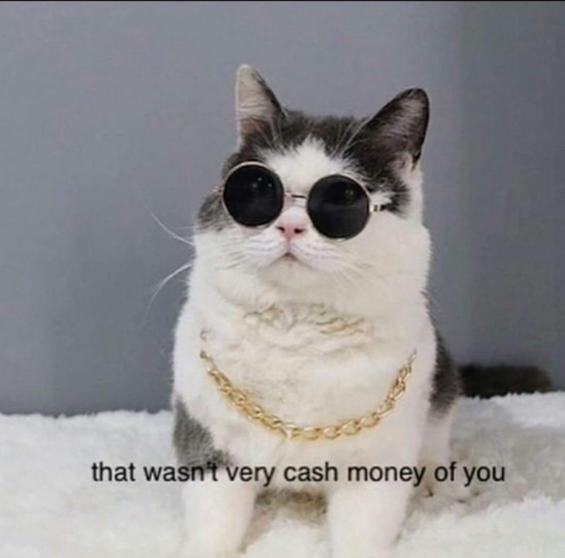 wasnt-very-cash-money