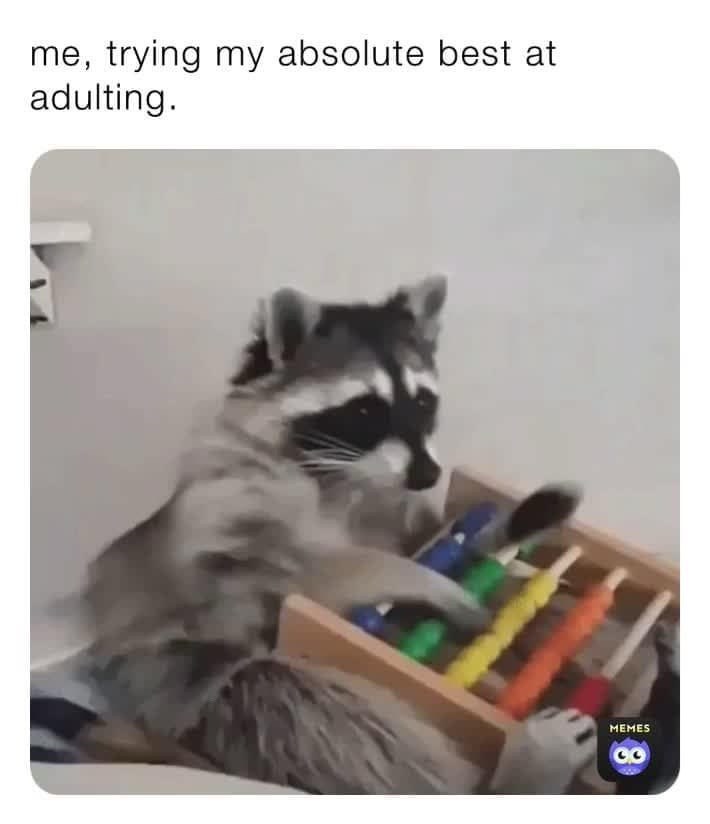 trying-my-absolute-best-at-adulting-memes