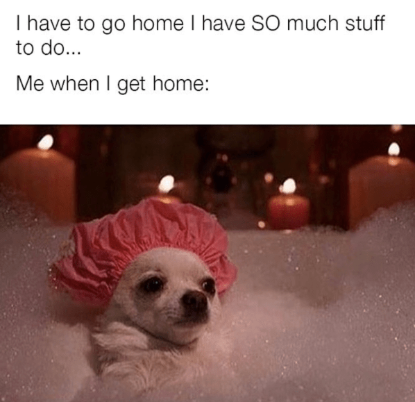 have-go-home-have-so-much-stuff-do-get-home