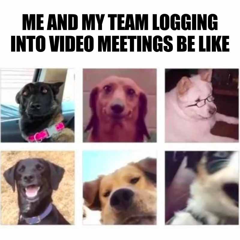 coworkers-video-meeting-meme.jpg