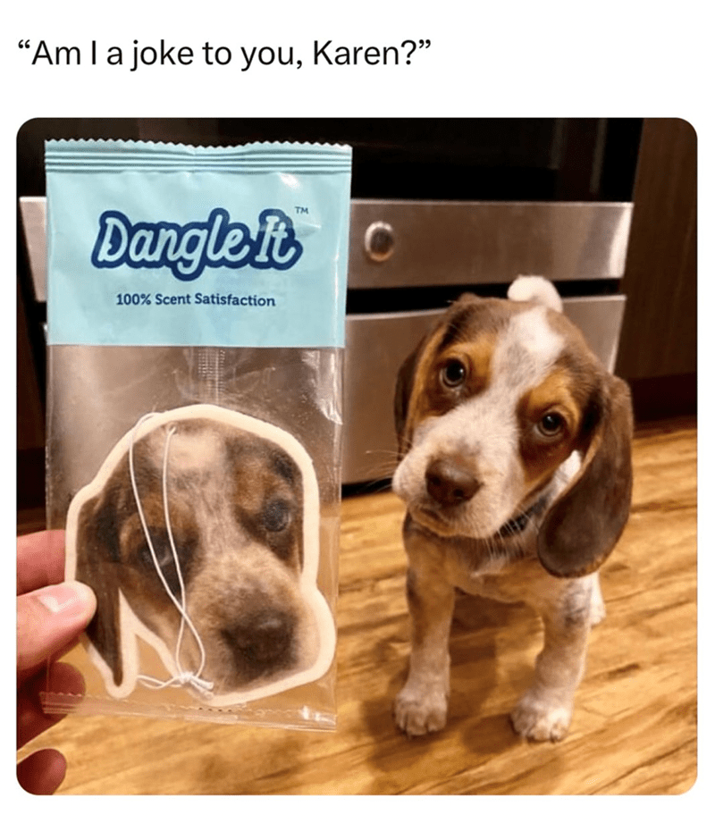 am-joke-karen-dangle-100-scent-satisfaction-tm-c