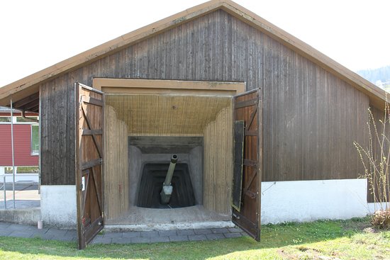 artillery-gun-hidden.jpg