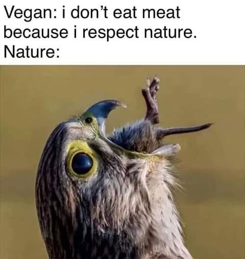 vegan-dont-eat-meat-because-respect-nature-nature