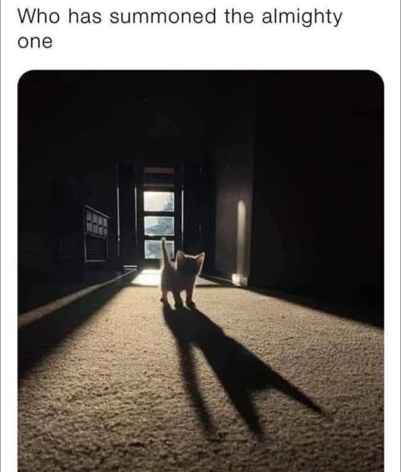 who-has-summoned-almighty-one