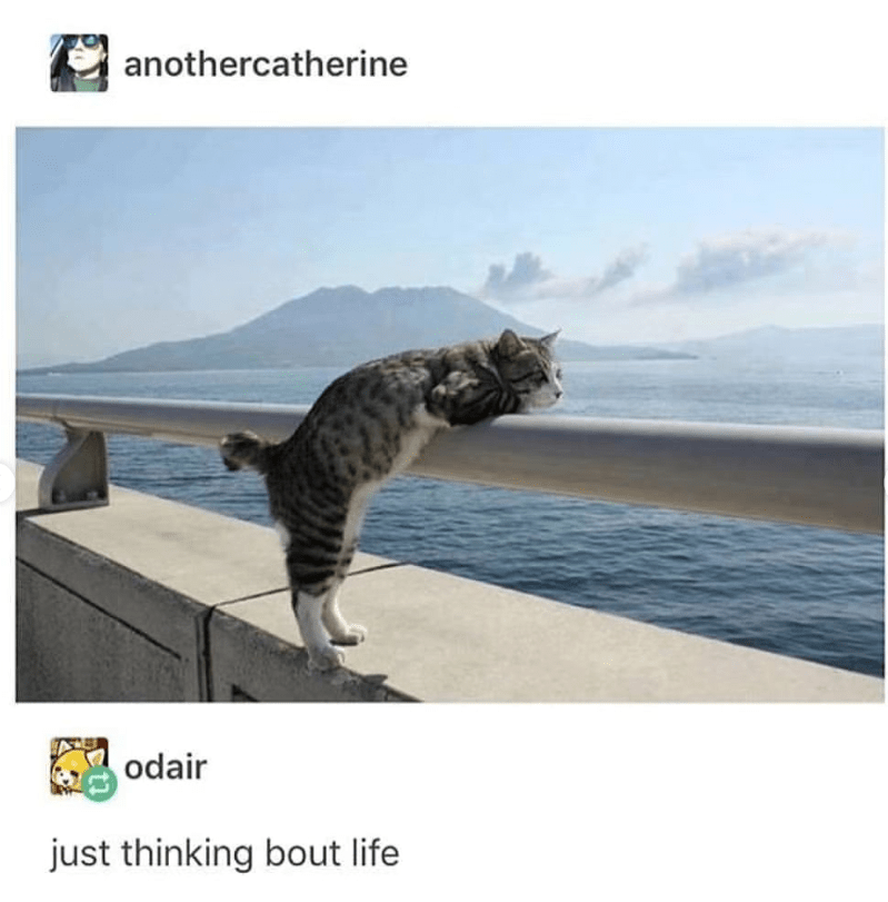 anothercatherine-odair-just-thinking-bout-life