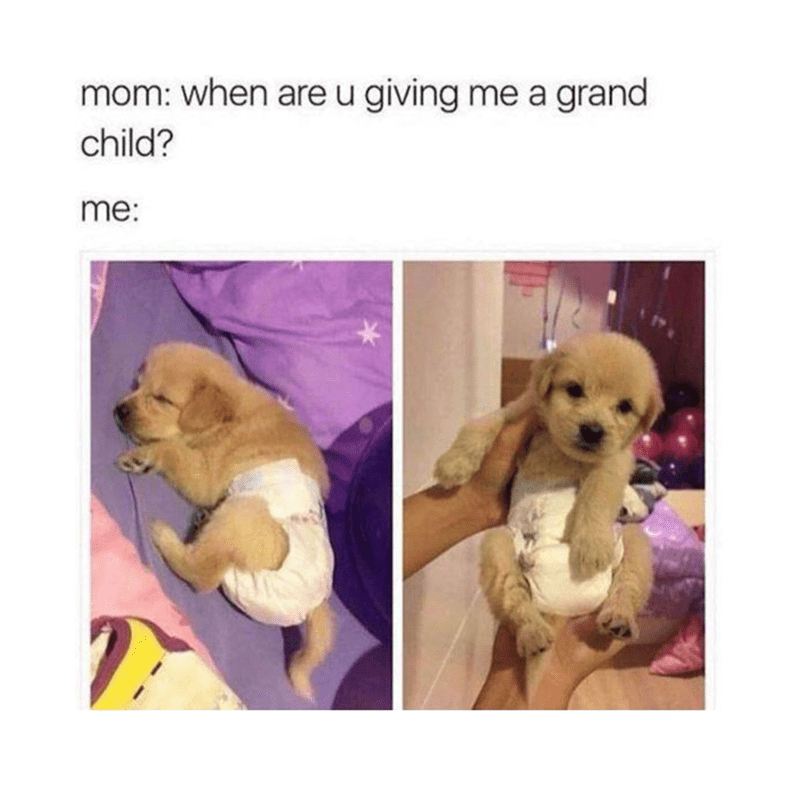 mom-are-u-giving-grand-child