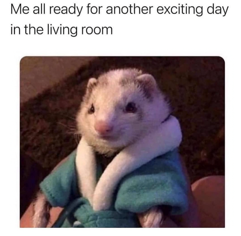 all-ready-another-exciting-day-living-room