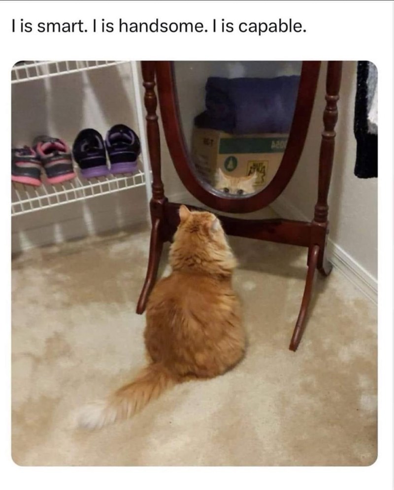 is-smart-is-handsome-is-capable-20