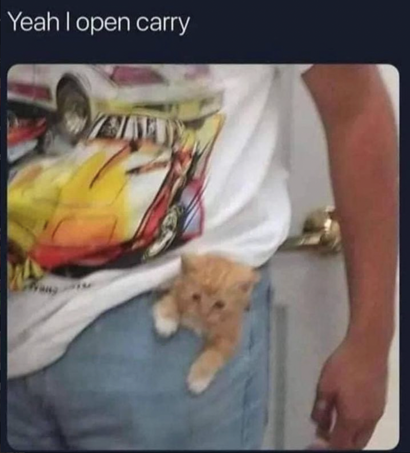 yeah-open-carry