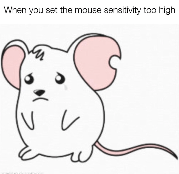 set-mouse-sensitivity-too-high-made-with-mematific