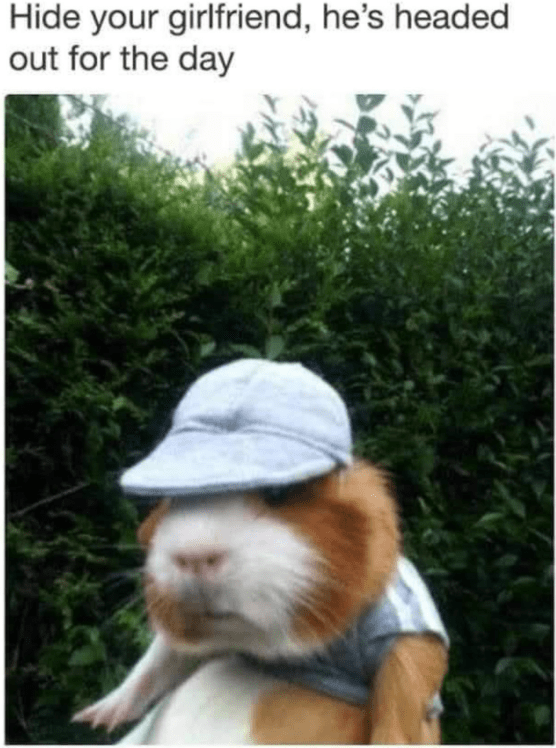 hide-girlfriend-hes-headed-out-day