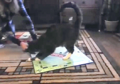 everyones-a-sore-loser-at-this-game