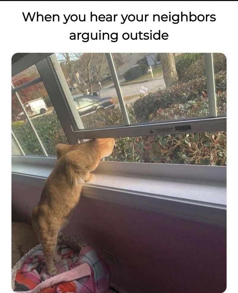 hear-neighbors-arguing-outside