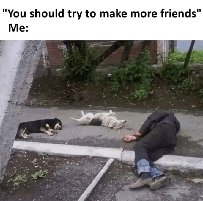 should-try-make-more-friends