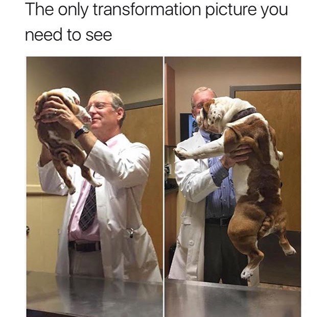 only-transformation-picture-need-see