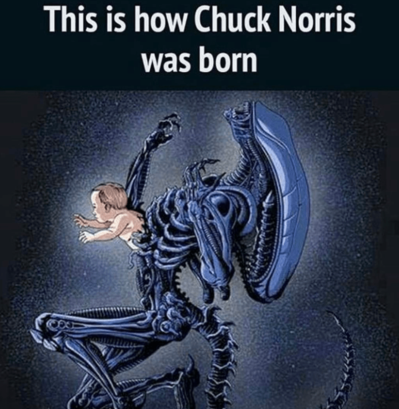 this-is-chuck-norris-born