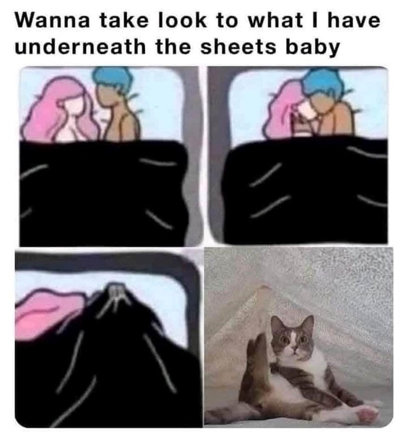 wanna-take-look-have-underneath-sheets-baby