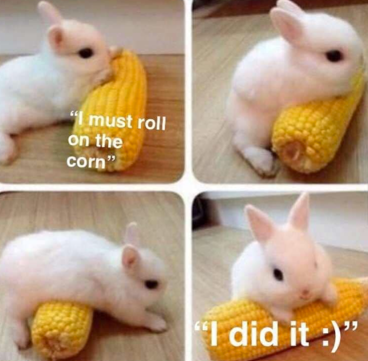 must-roll-on-corn-did