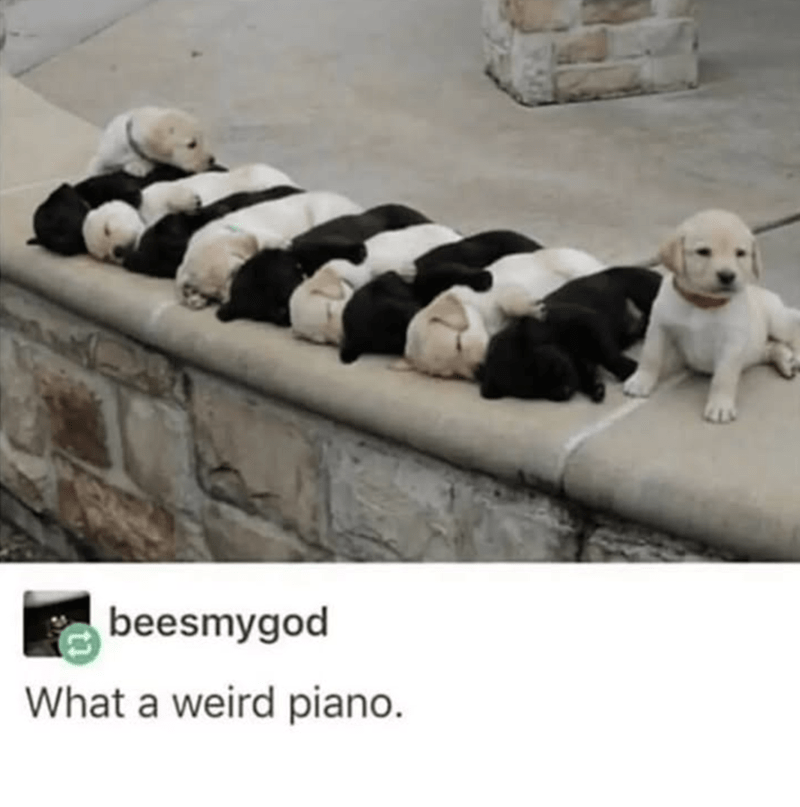 beesmygod-weird-piano