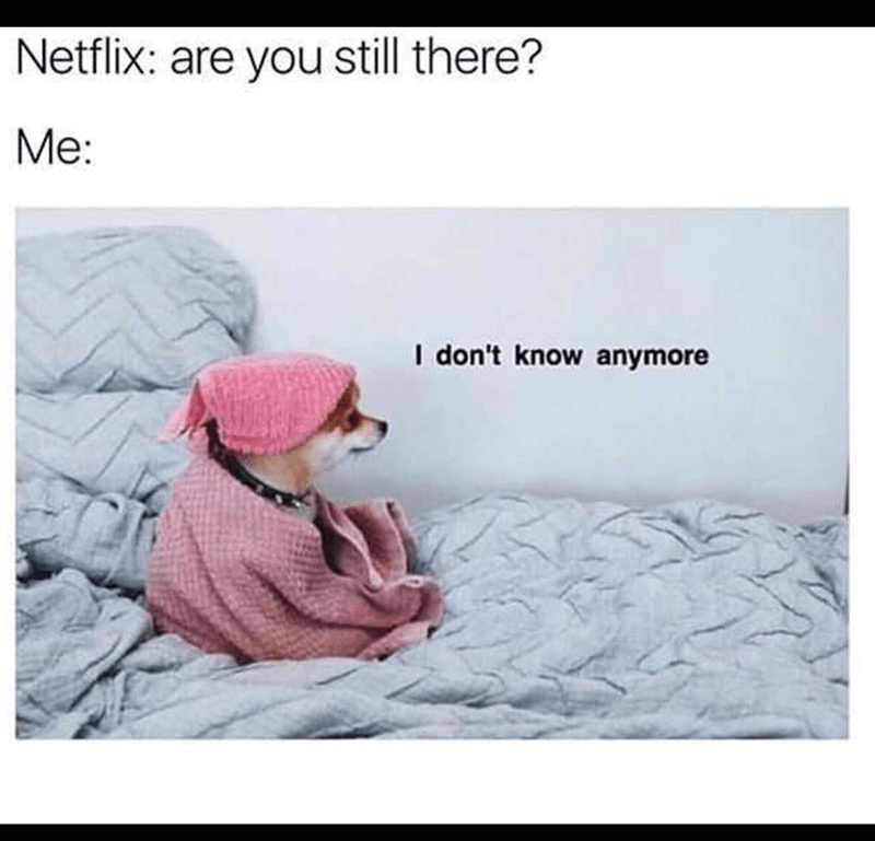 netflix-are-still-there-dont-know-anymore