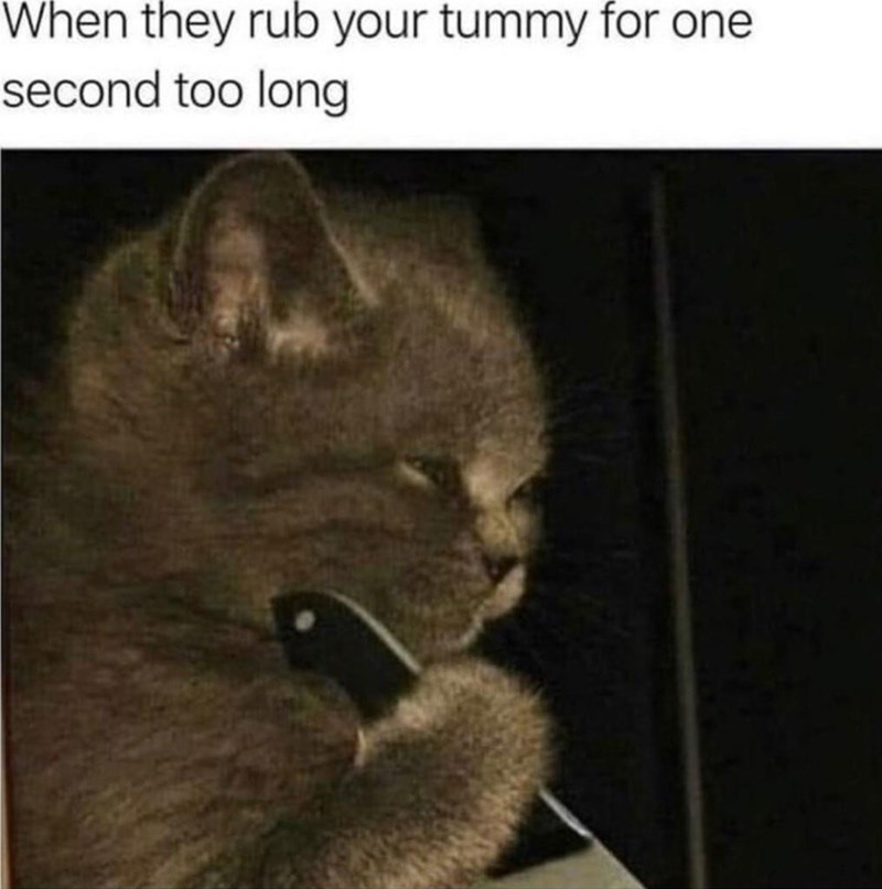 they-rub-tummy-one-second-too-long