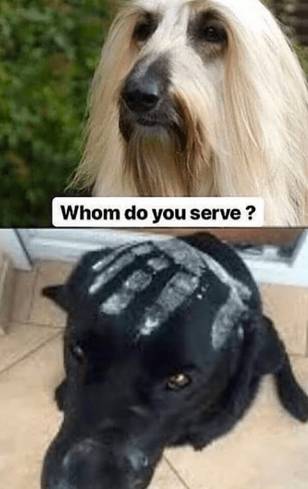 whom-do-serve