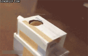 send-in-the-cat-tank