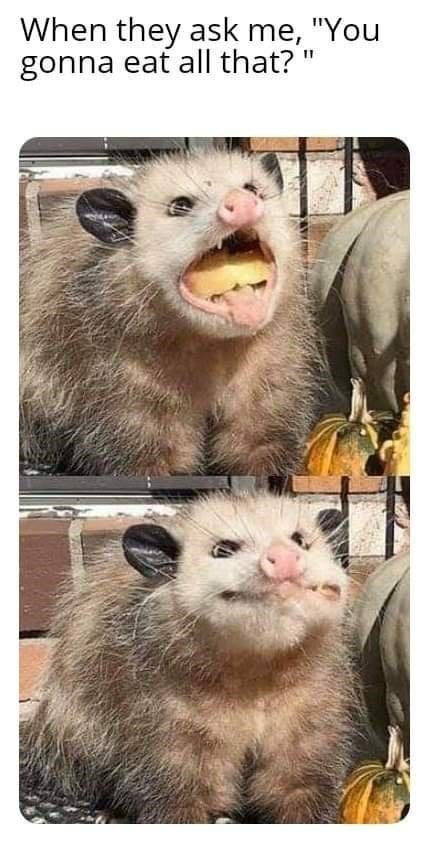 they-ask-gonna-eat-all