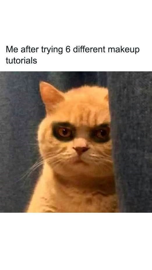 after-trying-6-different-makeup-tutorials