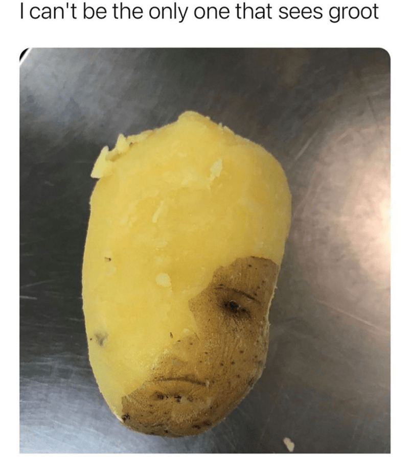 cant-be-only-one-sees-groot