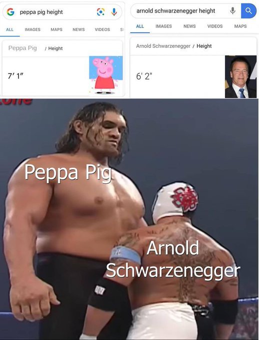 arnold-schwarzenegger-height-meme.jpg