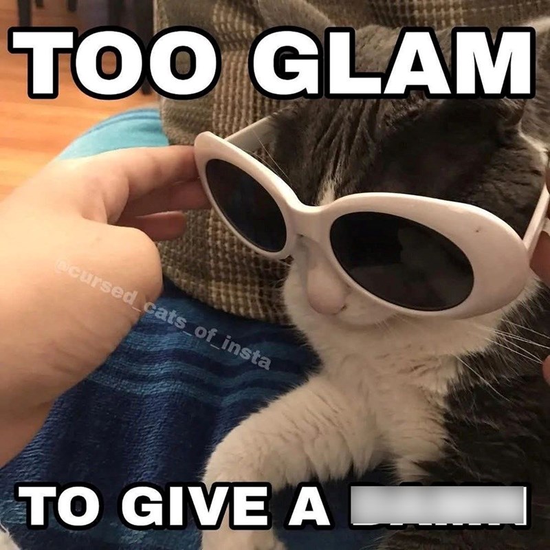 too-glam-cursed-cats_of_insta-give