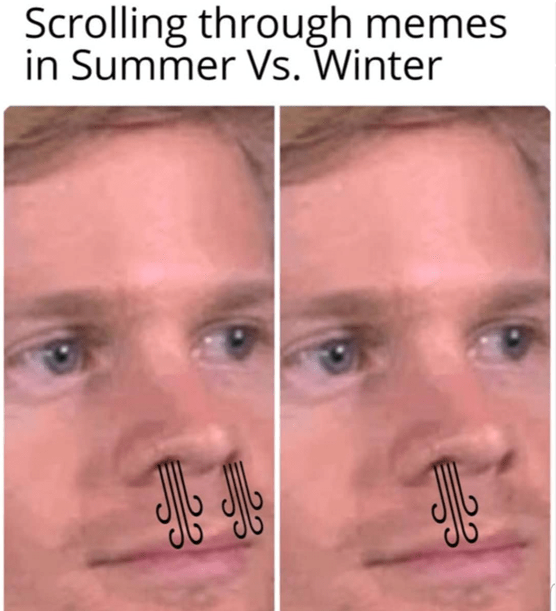 scrolling-through-memes-summer-vs-winter-j-j-sp