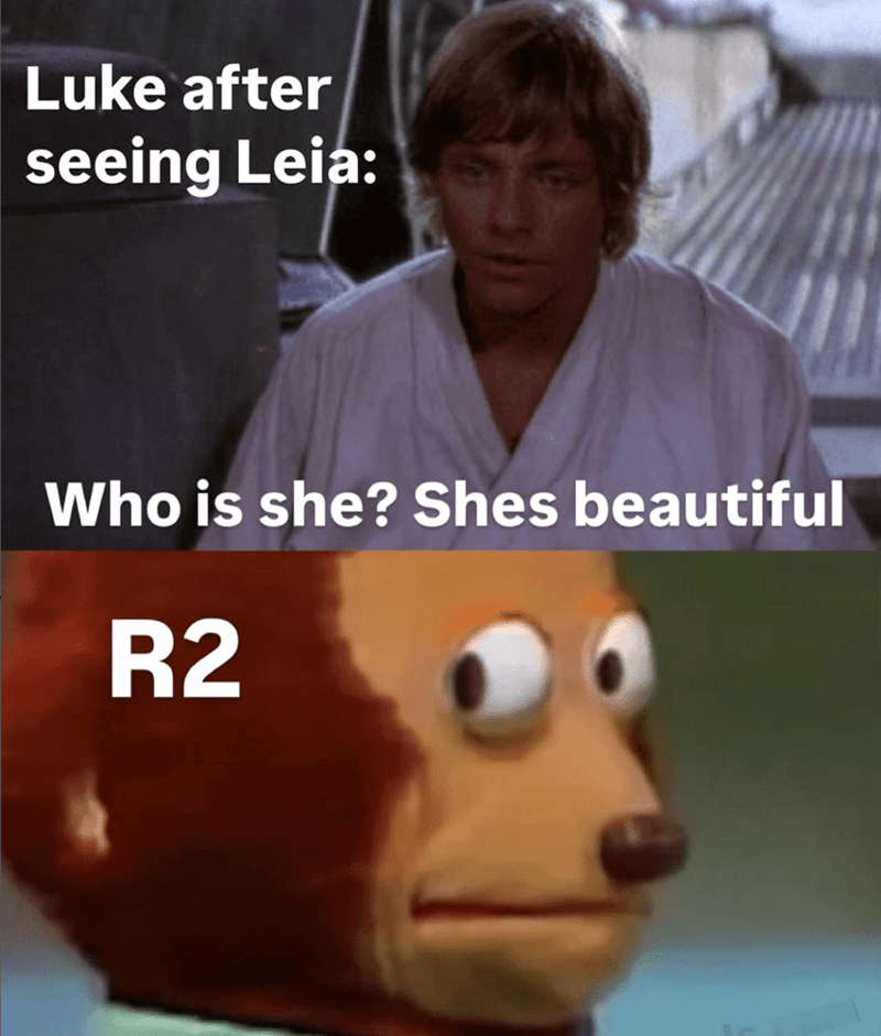 luke-after-seeing-leia-who-is-she-shes-beautiful-r2